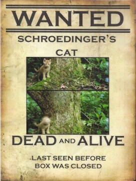 Schroedinger's Cat poster